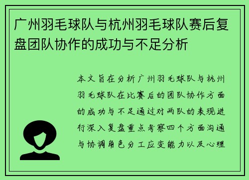 广州羽毛球队与杭州羽毛球队赛后复盘团队协作的成功与不足分析